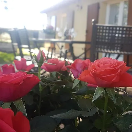 Holiday home Ca Le Cerque, Surrounded By Marche's Nature Fossombrone
