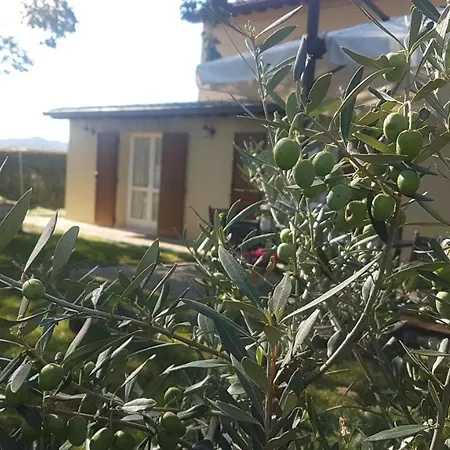 Holiday home Ca Le Cerque, Surrounded By Marche's Nature *